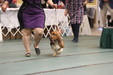 Enlarge photo 111