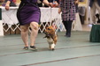 Enlarge photo 109