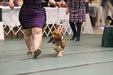 Enlarge photo 108