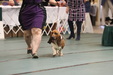 Enlarge photo 107
