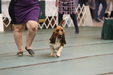 Enlarge photo 104