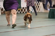 Enlarge photo 103