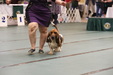 Enlarge photo 98