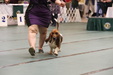 Enlarge photo 97