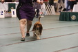 Enlarge photo 96