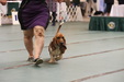Enlarge photo 93