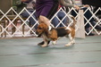Enlarge photo 75