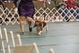 Enlarge photo 68