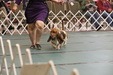 Enlarge photo 67