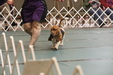 Enlarge photo 64