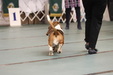 Enlarge photo 39