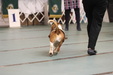 Enlarge photo 38