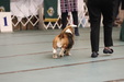Enlarge photo 35