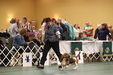 Enlarge photo 33