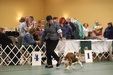Enlarge photo 31