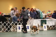 Enlarge photo 30