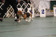 Enlarge photo 29