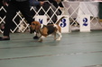 Enlarge photo 28