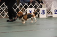 Enlarge photo 26