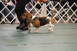 Enlarge photo 16