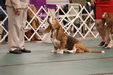 Enlarge photo 147