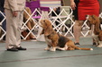 Enlarge photo 144