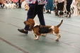 Enlarge photo 112