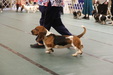 Enlarge photo 111
