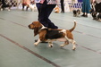 Enlarge photo 109