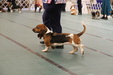 Enlarge photo 108