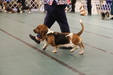 Enlarge photo 107
