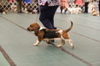 Enlarge photo 104