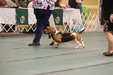 Enlarge photo 96