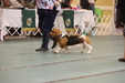 Enlarge photo 95