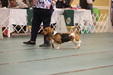 Enlarge photo 92
