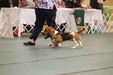 Enlarge photo 91