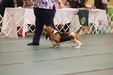 Enlarge photo 90