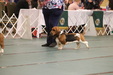 Enlarge photo 89