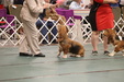 Enlarge photo 87