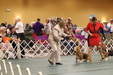 Enlarge photo 85