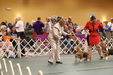 Enlarge photo 84