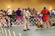 Enlarge photo 83