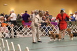 Enlarge photo 82