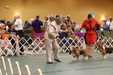 Enlarge photo 81