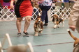 Enlarge photo 71