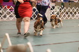 Enlarge photo 70