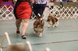 Enlarge photo 69