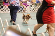 Enlarge photo 64