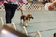 Enlarge photo 59
