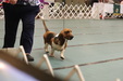 Enlarge photo 57